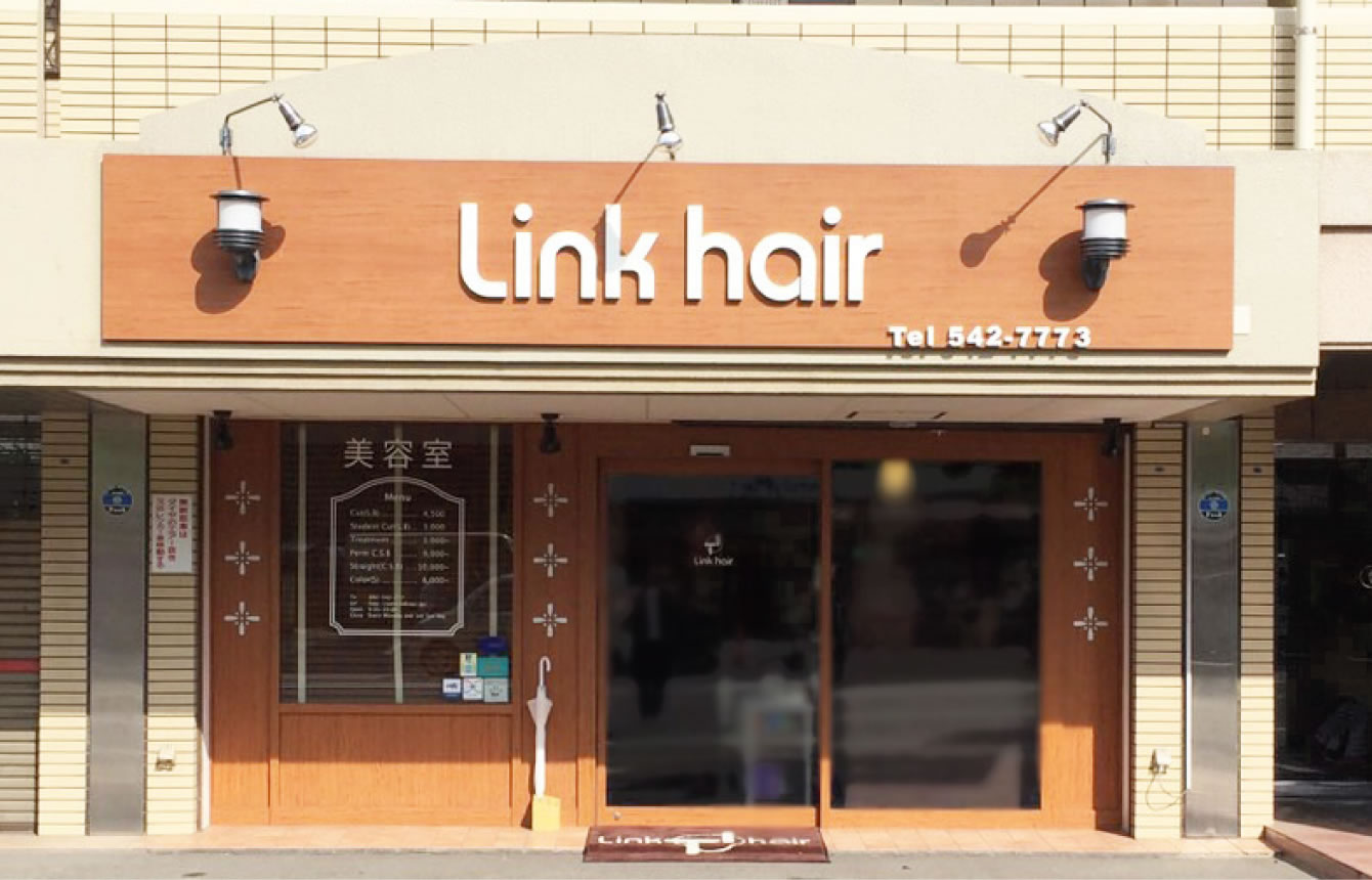 link hair